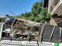 Best Yard Waste Removal  in Wrangell, AK