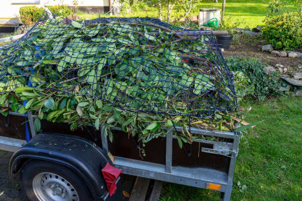 Best Construction Debris Removal  in Wrangell, AK